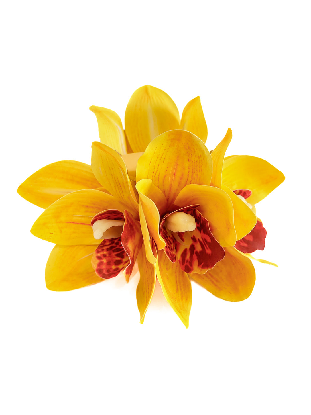 Sunset Orchid Claw Clip