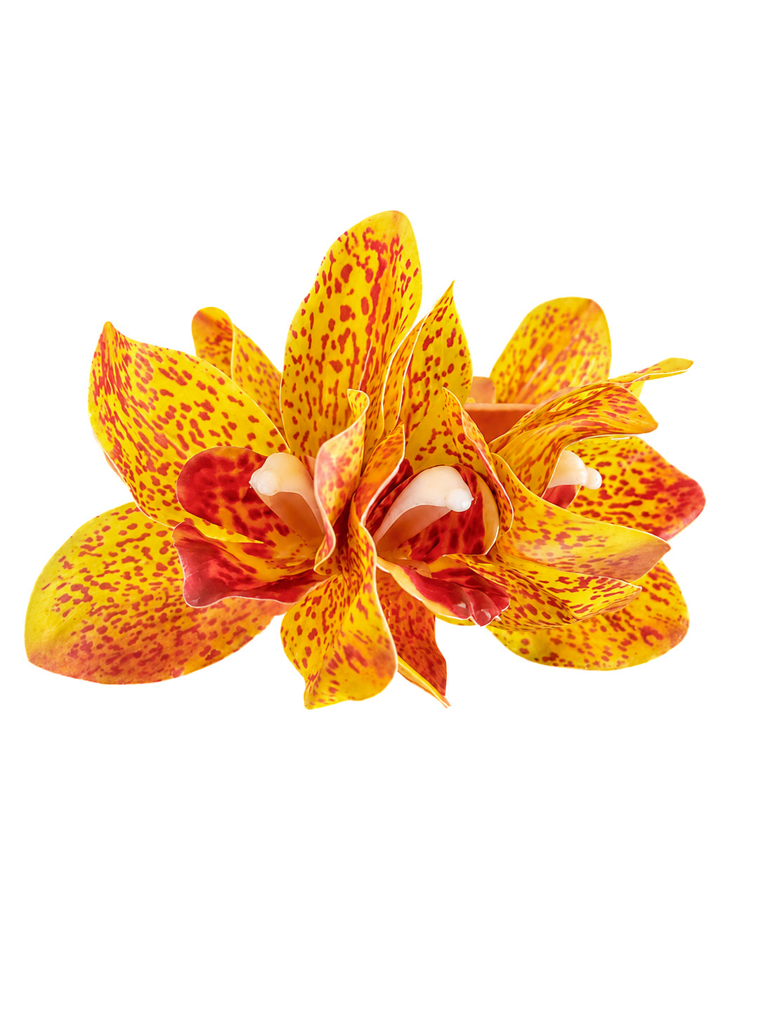 Spotted Sunset Orchid Claw Clip