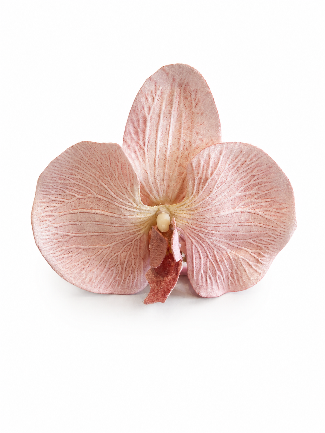 Baby Pink Orchid Claw Clip