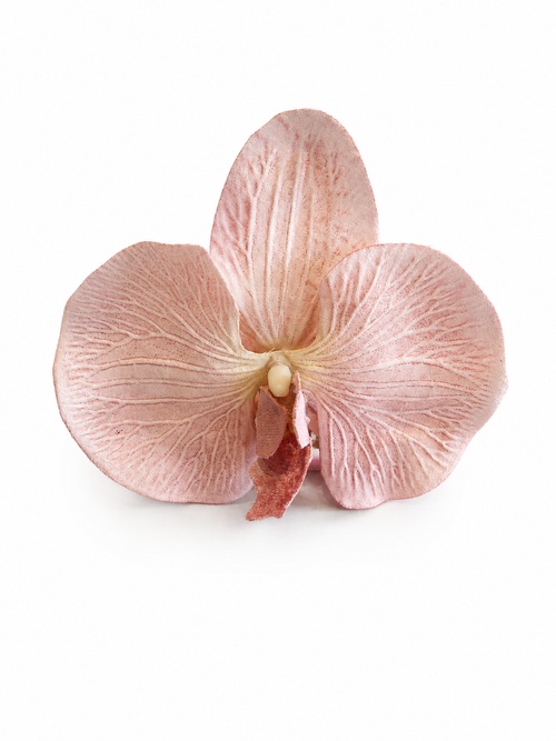 Baby Pink Orchid Claw Clip