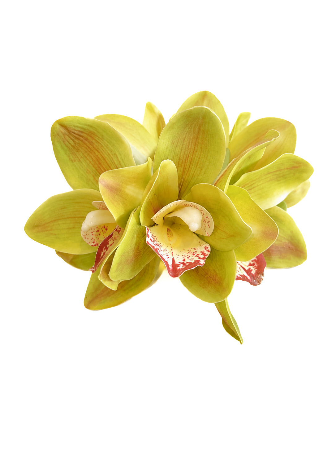 Garden Orchid Claw Clip
