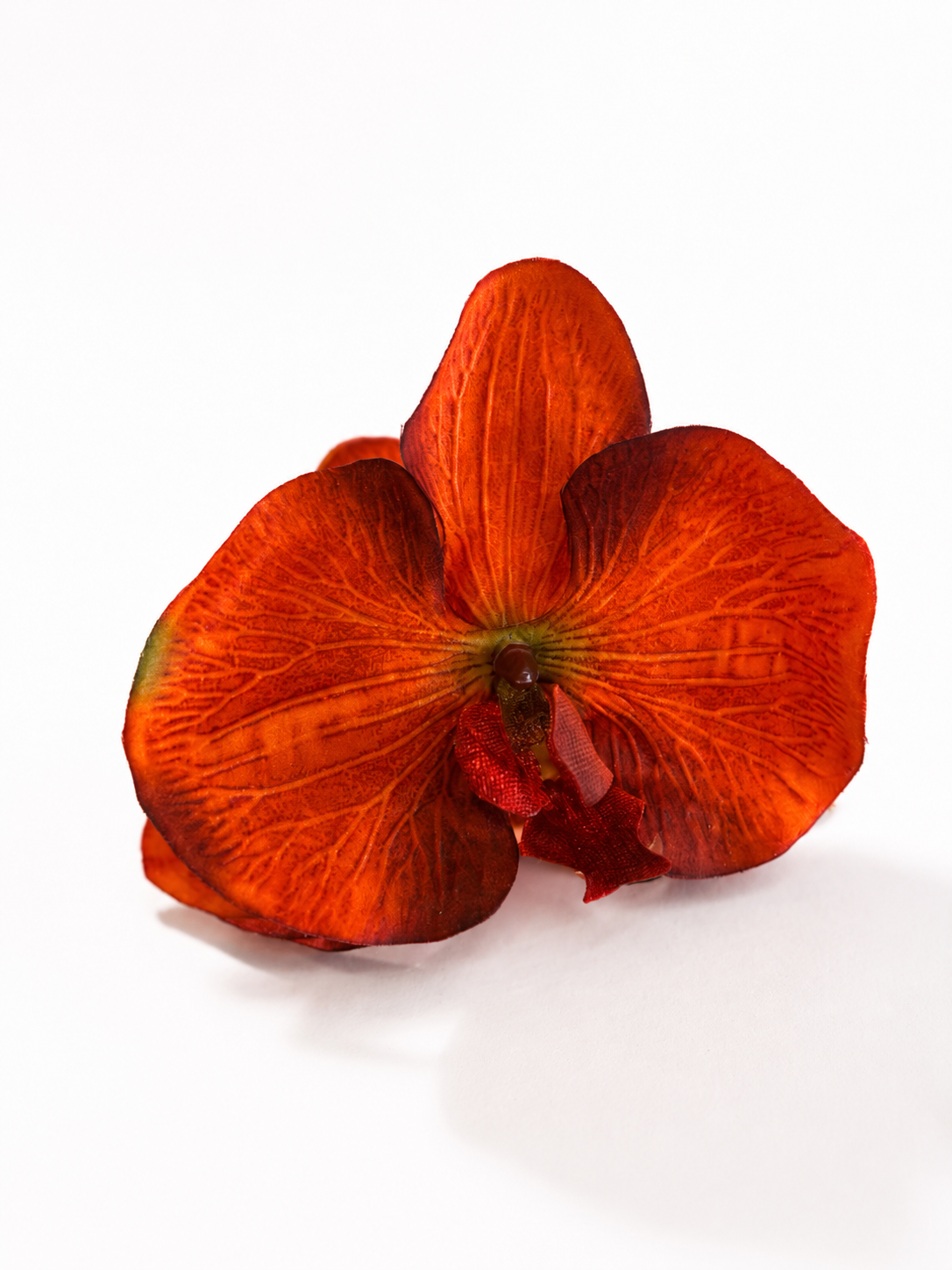 Vibrant Orange Orchid Claw Clip