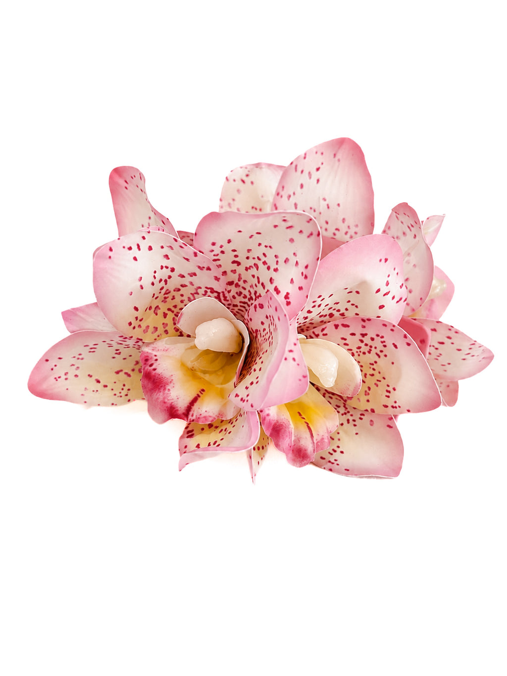 Spotted Blush Orchid Claw Clip
