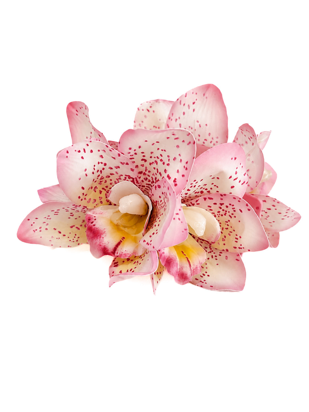 Spotted Blush Orchid Claw Clip