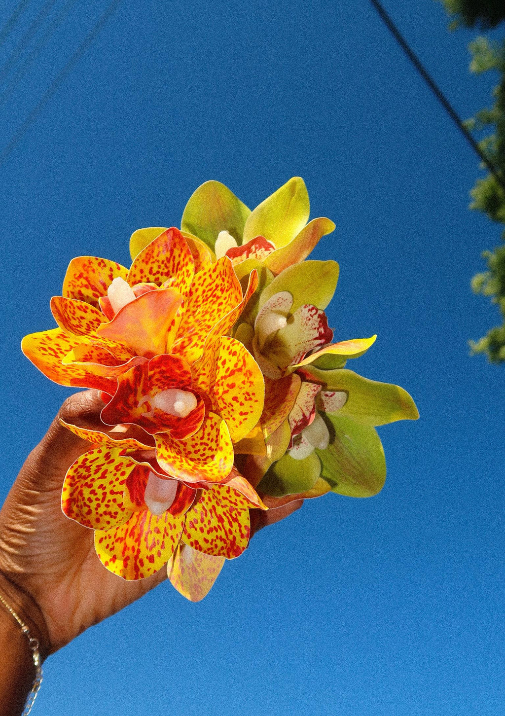 Spotted Sunset Orchid Hair Claw Clip