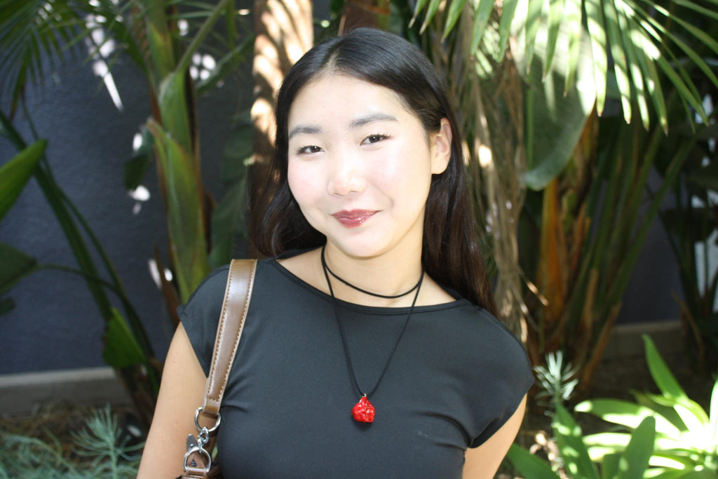 Rose Choker on Black Cord - Real Flower Preserved in Resin