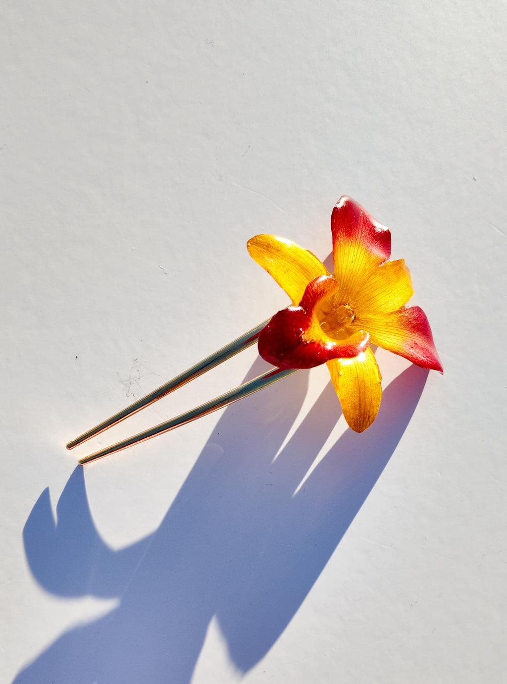Real Orchid French Hair Pin
